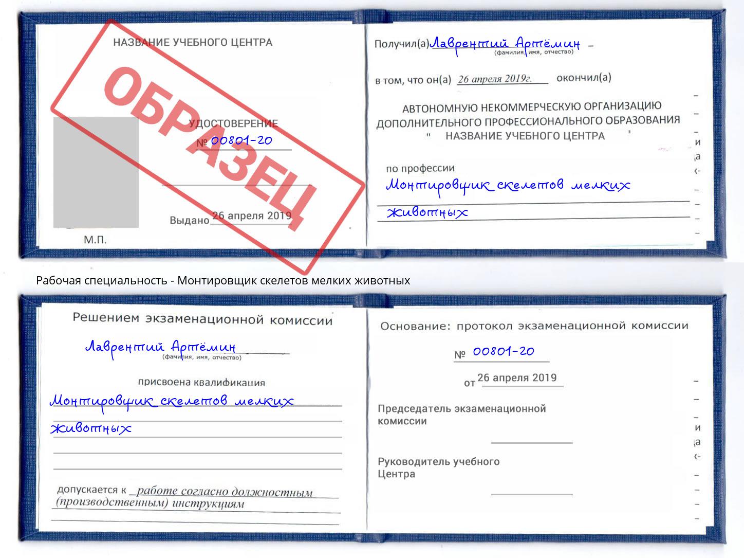 Монтировщик скелетов мелких животных Набережные Челны