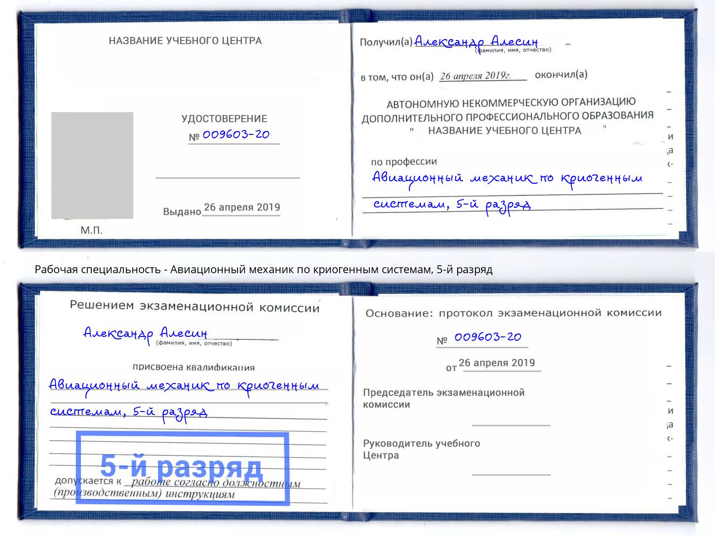 корочка 5-й разряд Авиационный механик по криогенным системам Набережные Челны