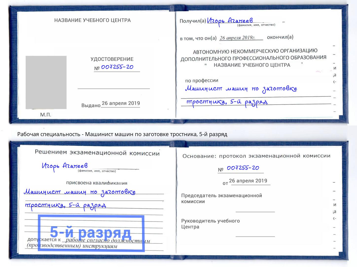 корочка 5-й разряд Машинист машин по заготовке тростника Набережные Челны