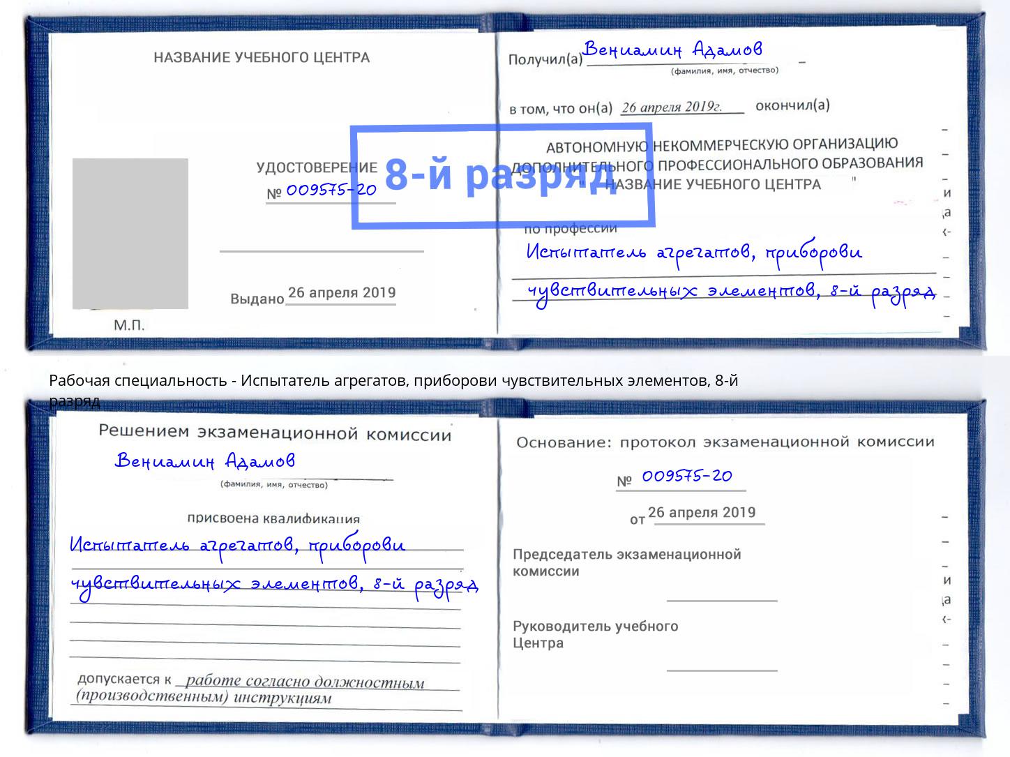 корочка 8-й разряд Испытатель агрегатов, приборови чувствительных элементов Набережные Челны